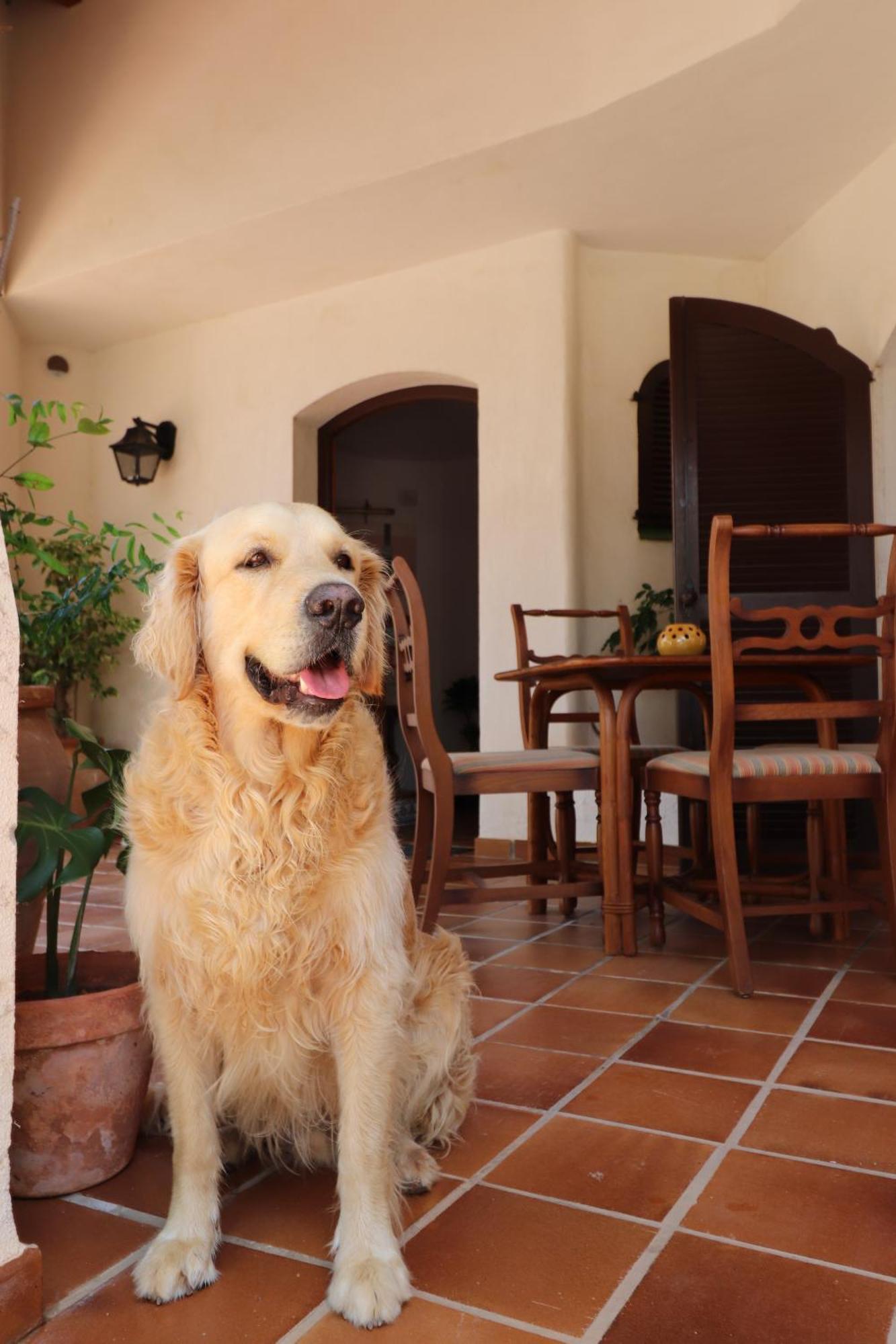 Cala Odalbodsol Cabo de Palos Ngoại thất bức ảnh